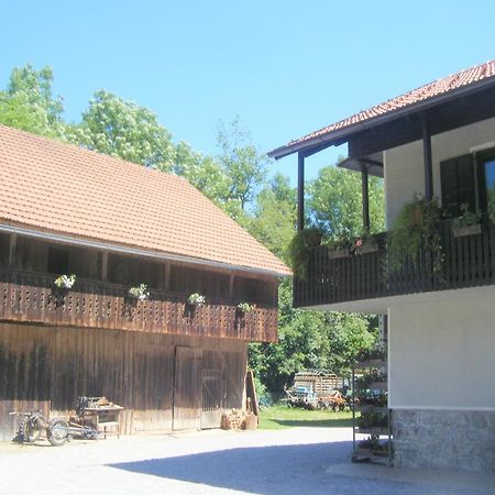 Guest House Kmetija Dane المظهر الخارجي الصورة